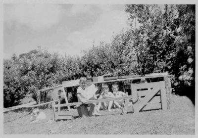 1965 - Timothy (1960), Paul (1961), Brendan (1963), Catherine (1962) and Kevin (1965) Carrucan
1965 - Matthew Carrucan thinks that this group of children is Timothy (1960), Paul (1961), Brendan (1963), Catherine (1962) and Kevin (1965) Carrucan playing in the back yard at 23 Terry St.
These are all children of Ted Carrucan and Ellie Beeson. They are great great grandchildren of Peter Carrucan
