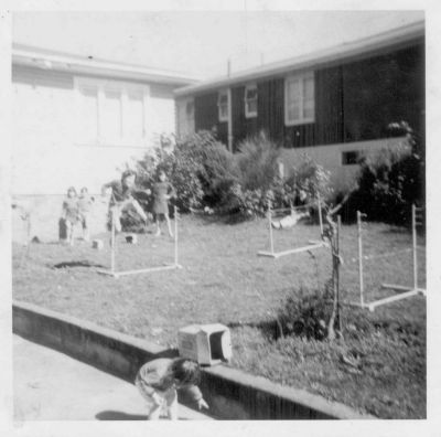 1979 - hurdling in the front yard of 23 Terry Street
1979 - Athletics training/hurdling in the front yard of 23 Terry Street. Judith Carrucan, one of the many great great grand children of Peter Carrucan, is shown in the foreground.
