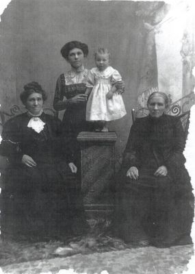 1905 approx - 4 generations of Carrucan women - Mary Carrucan (nee O'Brien), her daughter Bridget Lane, her daughter Bridget McMahon and her daughter Mary Chidlow
Historic photo showing 4 generations of Carrucan women
1. Mary Carrucan (nee O'Brien), the wife of the original Patrick Carrucan 1838-1927
2. Her eldest daughter Bridget Lane (nee Carrucan) 1958-1949
3. Her fifth child Bridget (Dolly) McMahon (nee Lane) 1883-1968
4. Her eldest child Mary Honoria (Bonny) McMahon who eventually married Barry Chidlow.

This photo must date from around 1905. I don't have an actual birth date for Bonny. If this was known, it would tie the date down.
