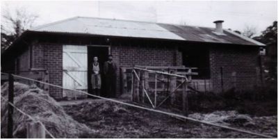 1968 - Jack Carrucan and Terry Erickson at the milking sheds, Dalton St Farm
Patrick Carrucan and Mary O'Brien settled on a farm in Eltham, with their farmhouse on the corner of Dalton and Bibles Street. The farm stayed in the family until their grandson John Francis (Jack) Carrucan died in 1976. At that stage what remained of the property was subdivided and sold. This photo shows Jack with his nephew Terry Erickson circa 1968 at the milking sheds opposite the farm house.
