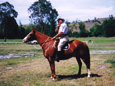 1980 Robert Edward Calnin - policeman at Buchan
Robert Edward Calnin, born in 1929, was the the eldest (along with his twin brother John) of the children born to Maurice Calnin. He was a great grandson of Patrick Carrucan and Mary O'Brien. He became a policeman, served in the Bundoora Mounted Branch and then at Buchan. Riding a horse was essential for policing in the rugged mountain country of that area. When he retired, he took up farming at Buchan. He and his wife Betty had 2 children, Dale and Robyn. He died in 2010.
This is a photo of Bob when he was about to lead a procession through Buchan at the opening of a local festival. The year would be around 1979 to 1980.
Photo from Maurice's grandson Dale Calnin.
