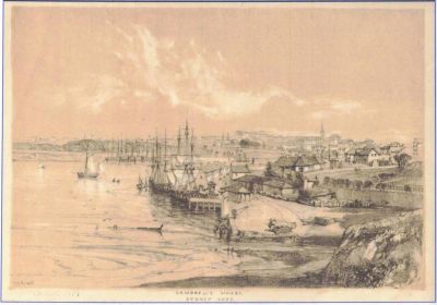 1842 Campbell's Wharf Sydney by artist John Skinner Prout
Having obtained a Ticket of Leave dated 29th of November 1831, Thomas Sweeney is increasingly reported in Sydney newspaper lists of coastal trading vessels between Wollongong and Sydney. This 1842 view of Campbell's Wharf in Sydney illustrates the Sydney docks as Thomas Sweeney would have known them.
Credit: National Library of Australia.
